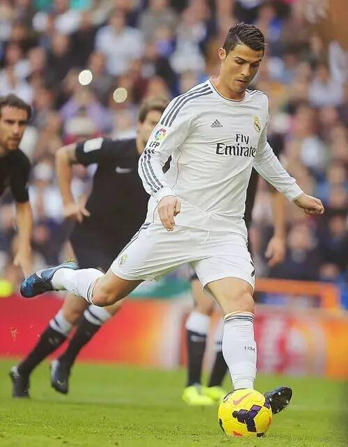 算与合规 算与合规